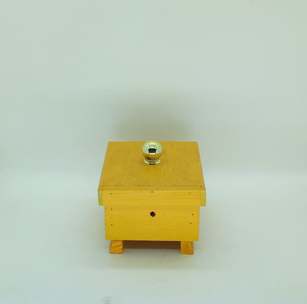 Colmeia para Abelha Mirim com Visor